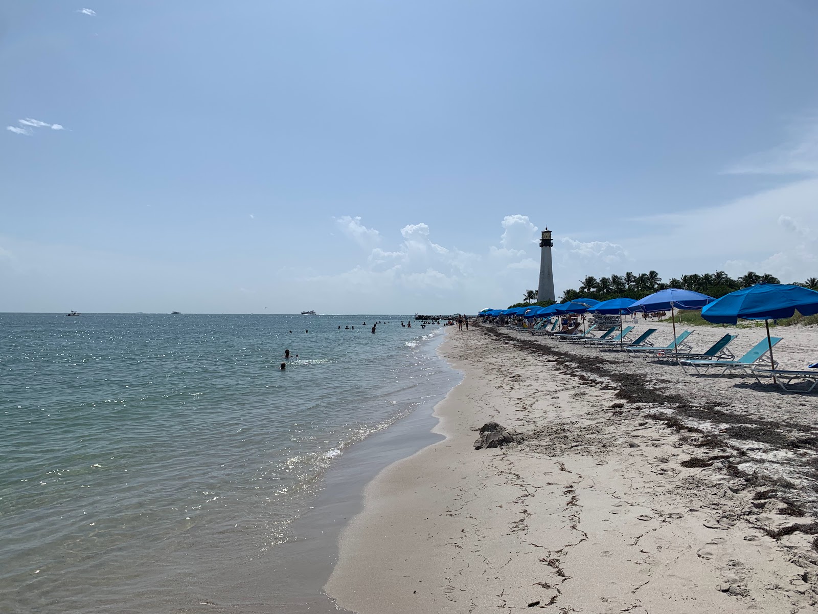 Photo de Cape Florida beach avec un niveau de propreté de assez propre