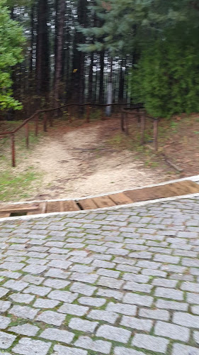 Αξιολογήσεις για το Ιερά Μονή Παναγίας Πορταΐτισσας Κορνοφωλιάς στην Αθήνα - Γιατρός