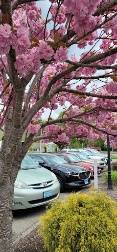 Supermarket «Highland Park Market», reviews and photos, 1721 Boston Turnpike, Coventry, CT 06238, USA