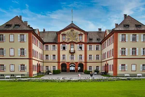 Schloss Mainau image