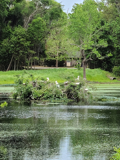 Park «Cypress Wetlands», reviews and photos, 1700 Paris Ave, Port Royal, SC 29935, USA