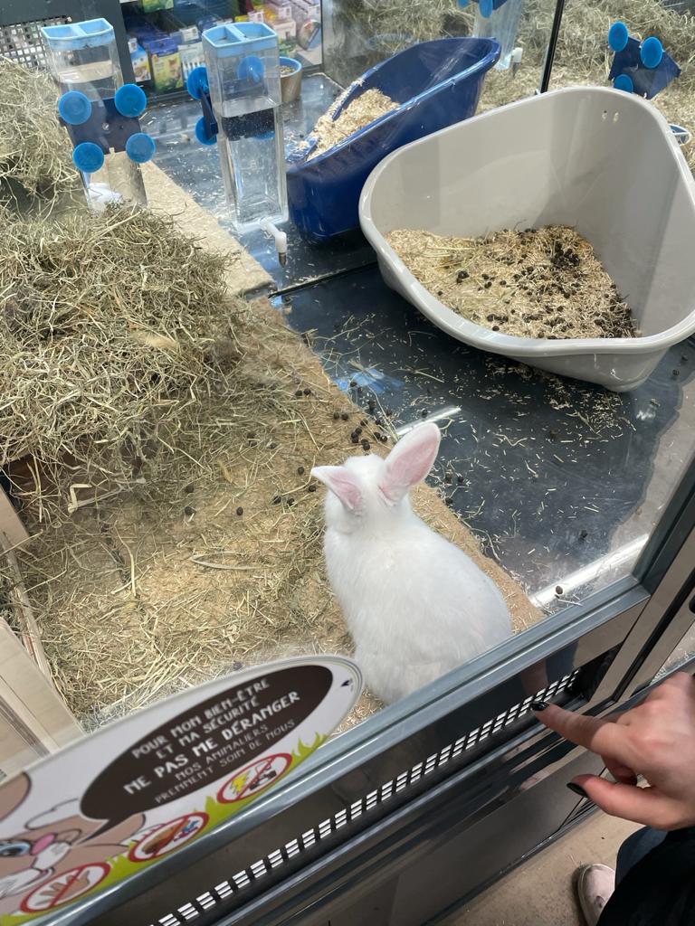Photo n° 1 de l'avis de nini.a fait le 22/04/2021 à 21:28