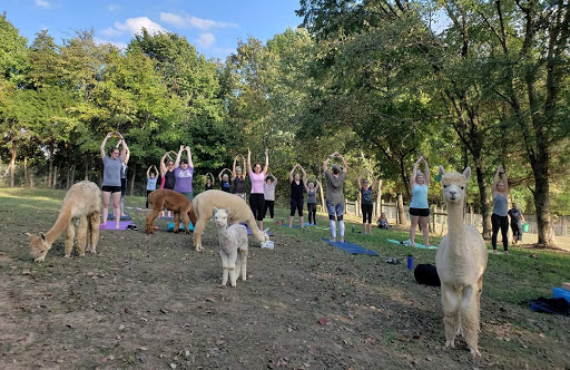 Rolling Oak Alpaca Ranch