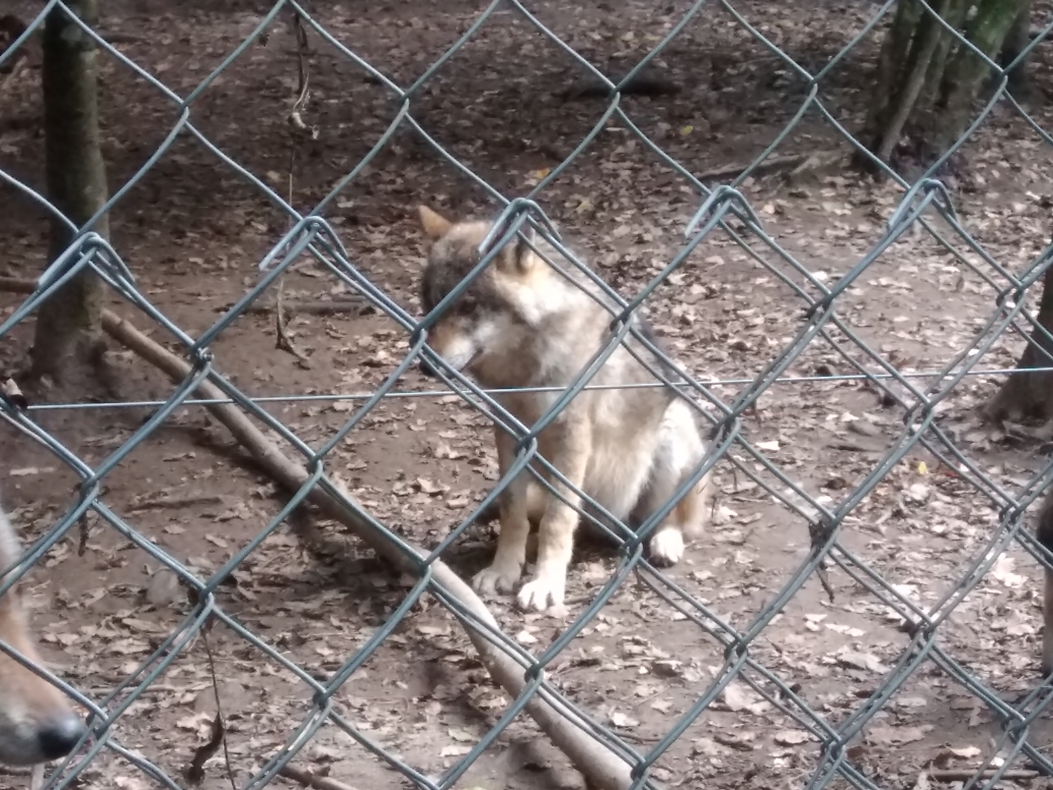 Photo n° 3 de l'avis de Isa.o fait le 03/01/2020 à 21:05