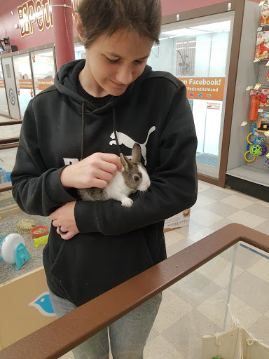 Pet Store «Petland», reviews and photos, 351 Diederich Blvd, Ashland, KY 41101, USA