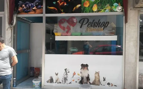 Pet Shop Marketim - Kocaeli ve İzmit Akvaryum Mağazası image