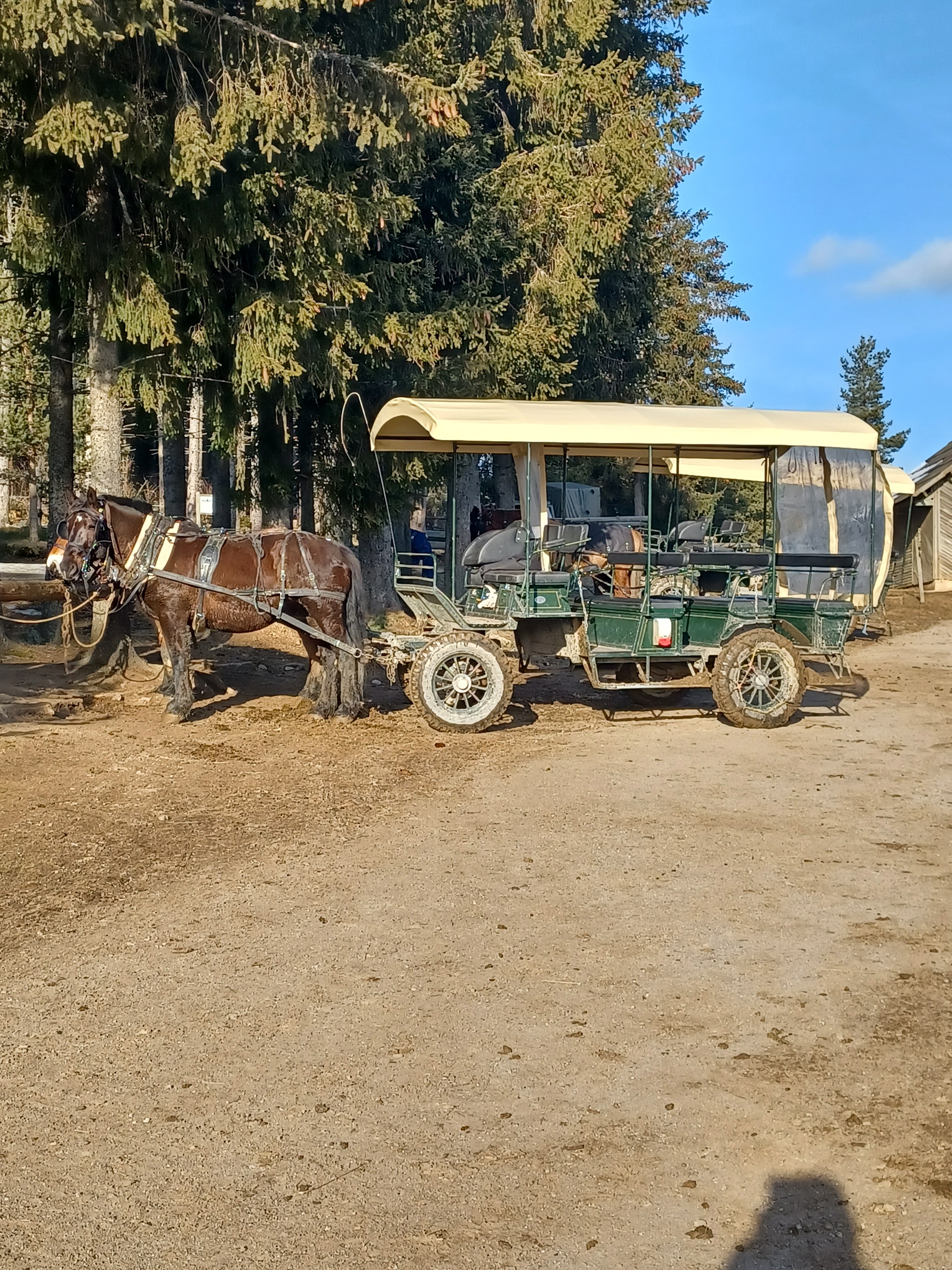 Photo n° 3 de l'avis de Isabelle.o fait le 23/02/2022 à 12:58