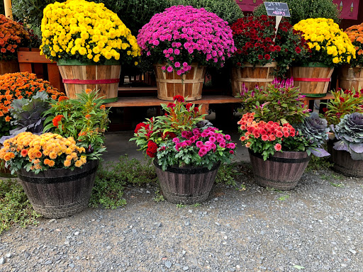 Produce Market «Dzen Garden Market», reviews and photos, 187 Windsorville Rd, Ellington, CT 06029, USA