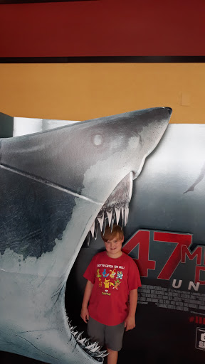 Movie Theater «AMC Mobile 16», reviews and photos, 785 Schillinger Rd S, Mobile, AL 36695, USA