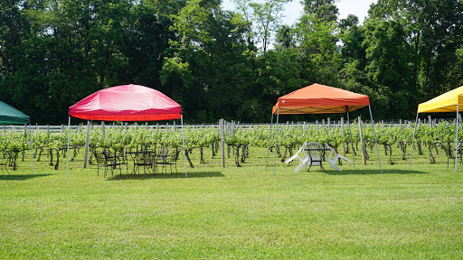 Winery «Gray Ghost Vineyards», reviews and photos, 14706 Lee Hwy, Amissville, VA 20106, USA