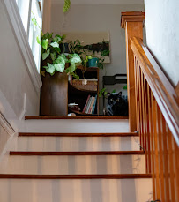 Sit Pretty Cat Sitting - Photo 7 - Car repair in , Olympia