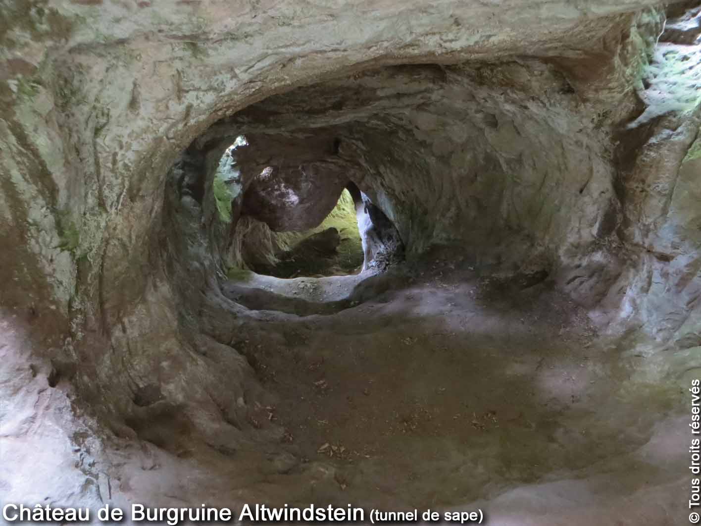 Photo n° 2 de l'avis de Curieux.e fait le 07/05/2021 à 16:43