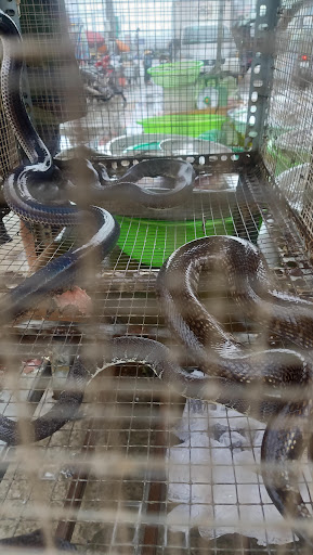 Top 20 hình vẽ cửa hàng Huyện U Minh Cà Mau 2022