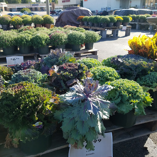 Hardware Store «Westlake Ace Hardware 080», reviews and photos, 708 S Aspen Ave, Broken Arrow, OK 74012, USA