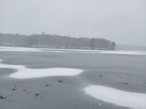 Park «Killens Pond State Park», reviews and photos, 5025 Killens Pond Rd, Felton, DE 19943, USA