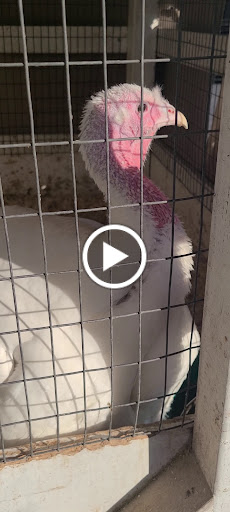 Animal Feed Store «Farmers Feed & Pet Supply», reviews and photos, 1302 E Miner Ave, Stockton, CA 95205, USA