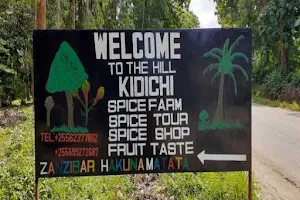 TO THE HILL KIDICHI SPICE FARMS image
