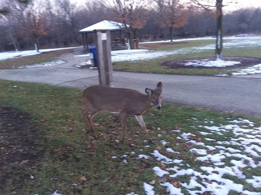 Nature Preserve «Rock Run Preserve - Paul V. Nichols Access», reviews and photos, Essington Rd, Joliet, IL 60435, USA