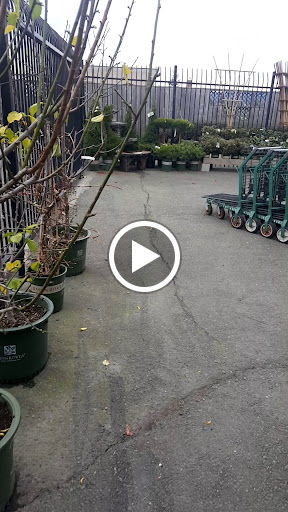 Hardware Store «Fortuna Ace Hardware & Garden Inc», reviews and photos, 140 S Fortuna Blvd, Fortuna, CA 95540, USA