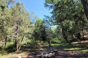 Horton Creek Trailhead image