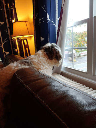 Pet Store «Pet Express», reviews and photos, 100 Independence Way, Danvers, MA 01923, USA