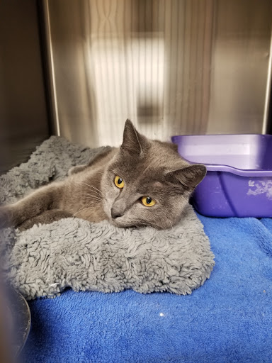 Pet Supply Store «PetSmart», reviews and photos, 1050 McKinley Pl Dr #30, San Marcos, TX 78666, USA