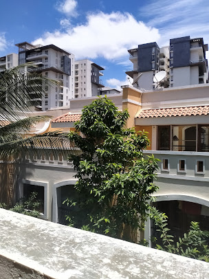 Google Maps image 14