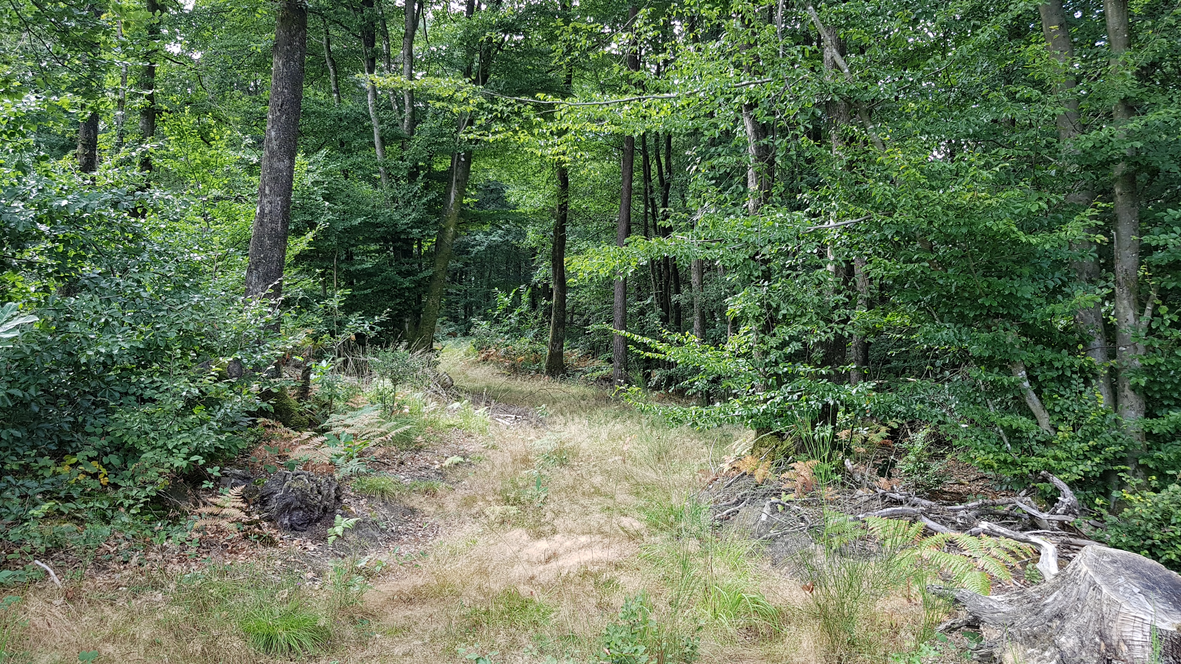 Photo n° 2 de l'avis de Morgan.r fait le 07/09/2018 à 09:49