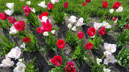 Park «Phillips Park», reviews and photos, 901 Ray Moses Dr, Aurora, IL 60505, USA