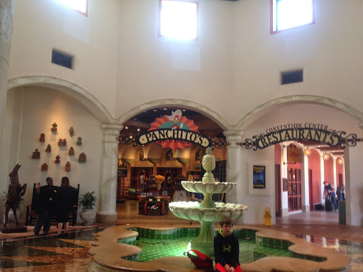 Travel Agency «Travel With The Hopper», reviews and photos, 7828 Village Green Dr, Avon, IN 46123, USA