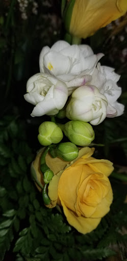 Coffee Shop «Starbucks», reviews and photos, 406 N Main St, Sebastopol, CA 95472, USA