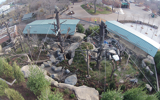 Roofing Contractor «All American Exterior Solutions», reviews and photos, 150 Oakwood Rd, Lake Zurich, IL 60047, USA