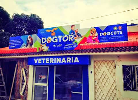 Opiniones de Consultorio Veterinario DOGTOR en Machala - Veterinario