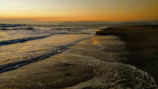 Santa Clara Estuary Natural Preserve