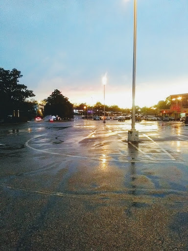 Grocery Store «The Fresh Market», reviews and photos, 835 S White Station Rd, Memphis, TN 38117, USA