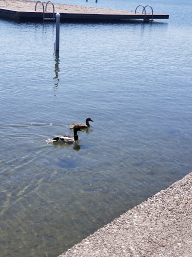 Performing Arts Theater «The Bathhouse Theatre», reviews and photos, 7312 West Green Lake Dr N, Seattle, WA 98103, USA