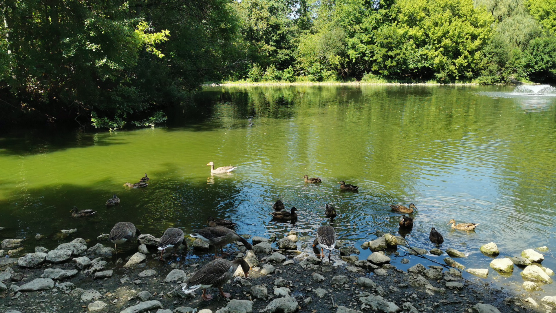 Photo n° 3 de l'avis de Koud.0 fait le 31/07/2022 à 13:58