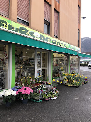 A Fleurs De Pots à Cluses