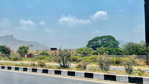 Google Maps image 22