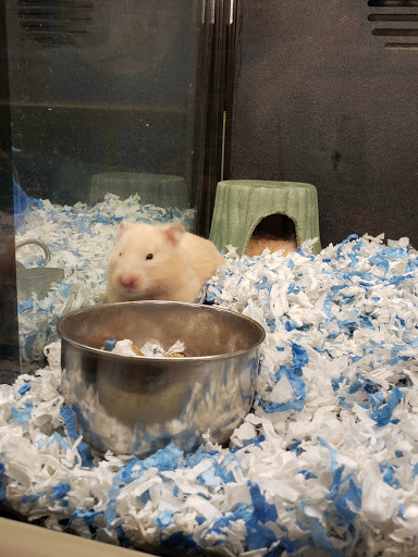 Pet Supply Store «PetSmart», reviews and photos, 159 N Weber Rd, Bolingbrook, IL 60490, USA