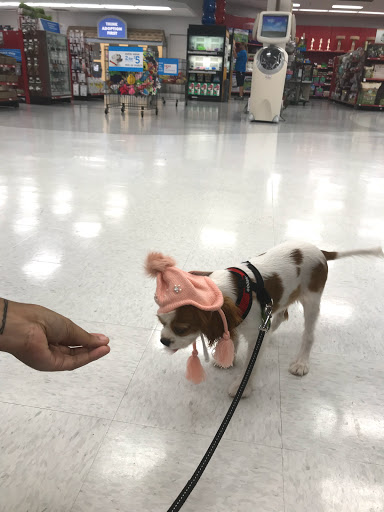 Pet Supply Store «Petco Animal Supplies», reviews and photos, 8111 W Broward Blvd, Plantation, FL 33324, USA