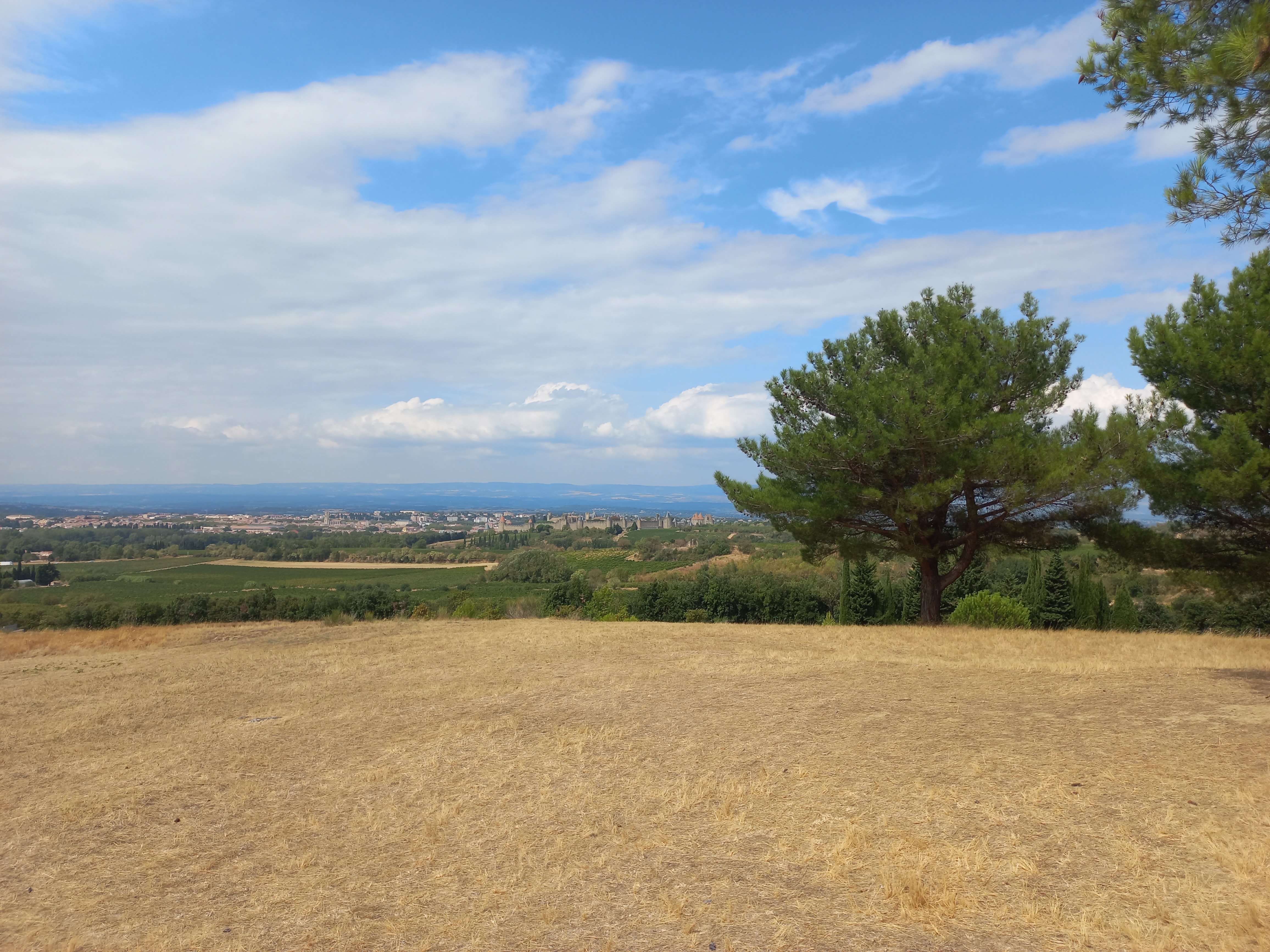 Photo n° 12 de l'avis de Jb.o fait le 02/09/2022 à 13:18