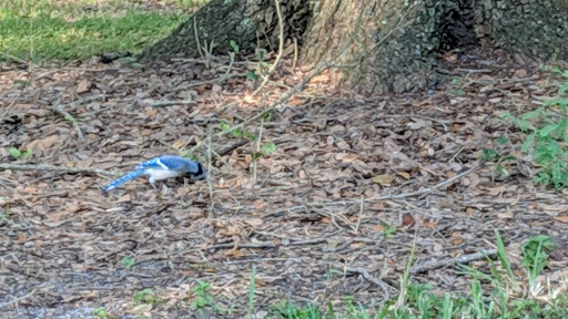 Park «Rolling Oaks Park», reviews and photos, 18701 NW 17th Ct, Miami Gardens, FL 33056, USA