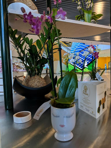 Florist «Flowers By Pouparina», reviews and photos, 1868 W Flagler St, Miami, FL 33135, USA