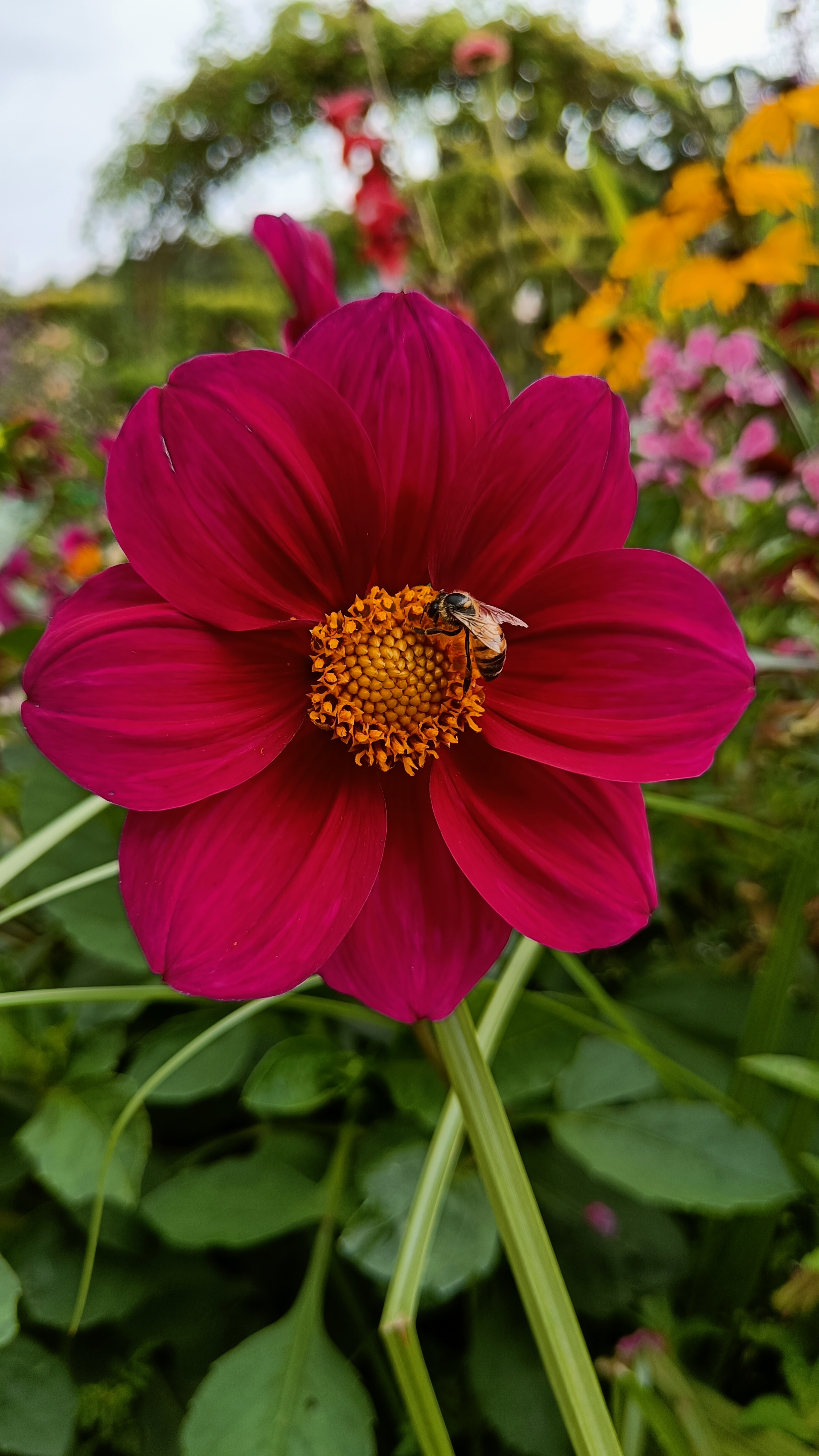 Photo n° 46 de l'avis de Eliot.o fait le 28/07/2023 à 16:35