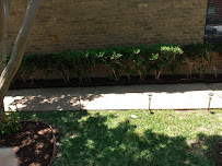 East texas land management - Photo 3 - Car repair in , Garland