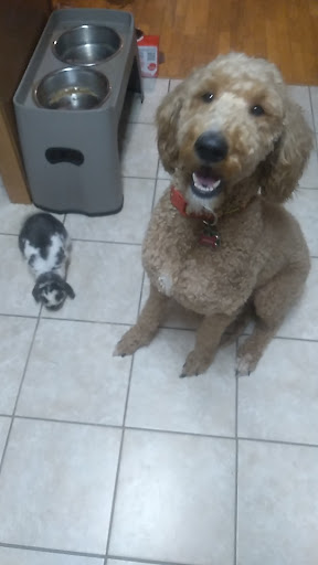 Pet Supply Store «Pet Partners», reviews and photos, 1962 W State St, Bristol, TN 37620, USA