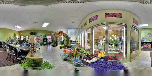Florist «Carrollwood Florist», reviews and photos, 11745 N Dale Mabry Hwy, Tampa, FL 33618, USA