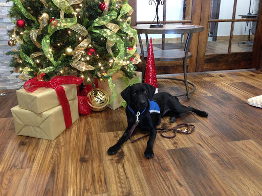 Pet Groomer «Woof Gang Bakery Rockwall», reviews and photos, 832 Steger Towne Rd, Rockwall, TX 75032, USA