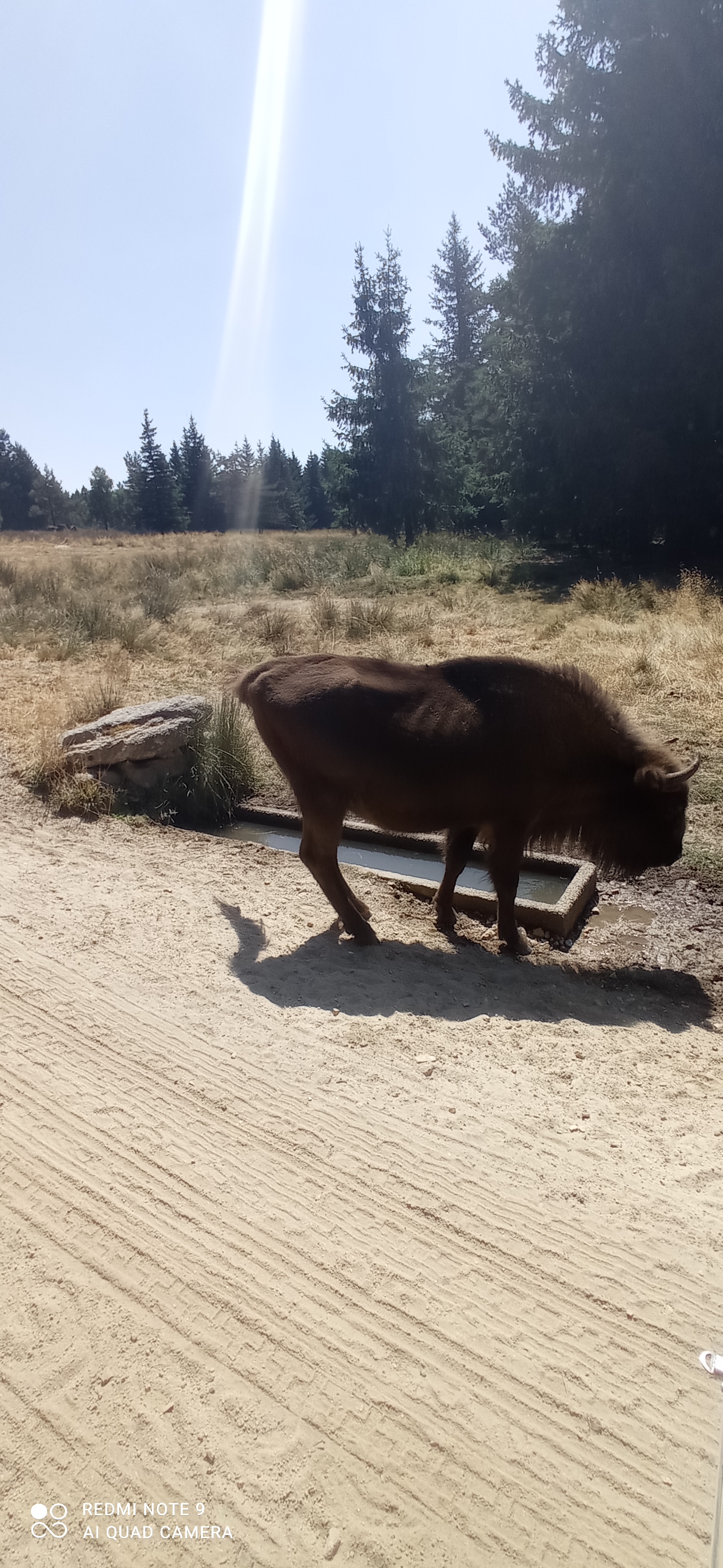 Photo n° 3 de l'avis de Celine.a fait le 15/08/2022 à 17:43